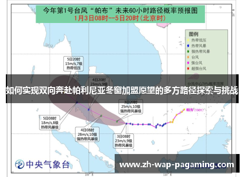 如何实现双向奔赴帕利尼亚冬窗加盟愿望的多方路径探索与挑战 如何实现双向奔赴帕利尼亚冬窗加盟愿望的多方路径探索与挑战