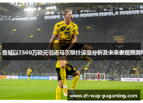 曼城以7500万欧元引进马尔穆什深度分析及未来表现预测 曼城以7500万欧元引进马尔穆什深度分析及未来表现预测