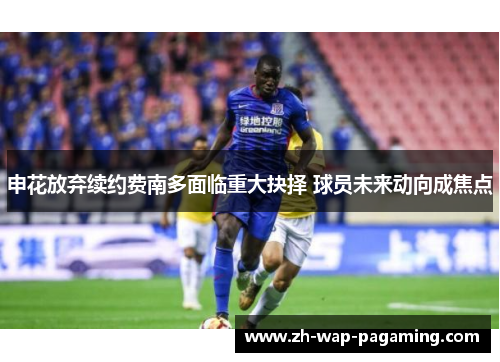 申花放弃续约费南多面临重大抉择 球员未来动向成焦点 申花放弃续约费南多面临重大抉择 球员未来动向成焦点