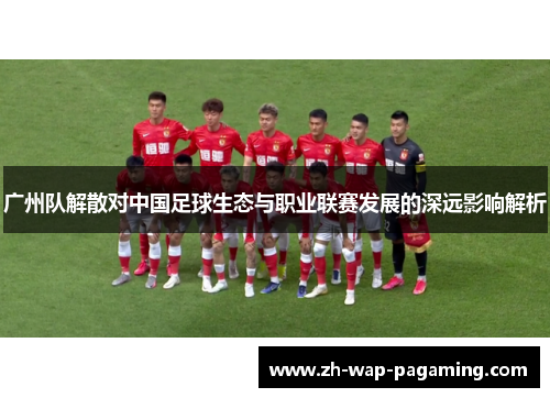 广州队解散对中国足球生态与职业联赛发展的深远影响解析 广州队解散对中国足球生态与职业联赛发展的深远影响解析