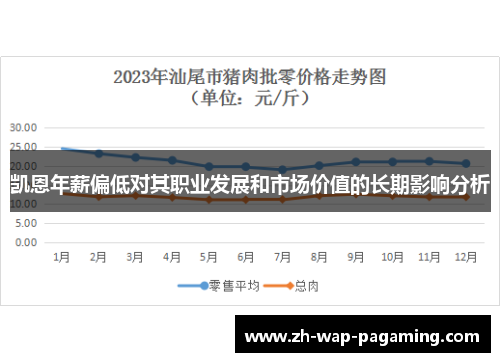 凯恩年薪偏低对其职业发展和市场价值的长期影响分析 凯恩年薪偏低对其职业发展和市场价值的长期影响分析