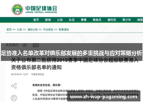 足协准入名单改革对俱乐部发展的多重挑战与应对策略分析 足协准入名单改革对俱乐部发展的多重挑战与应对策略分析