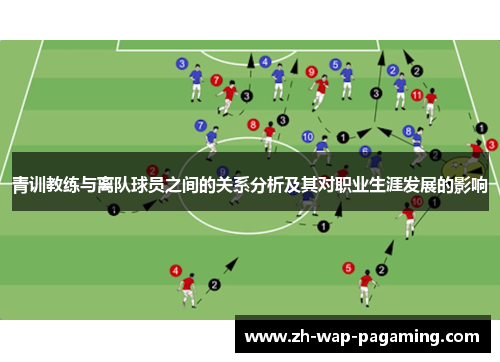 青训教练与离队球员之间的关系分析及其对职业生涯发展的影响