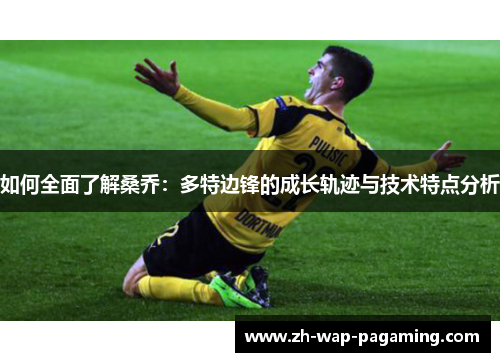 如何全面了解桑乔:多特边锋的成长轨迹与技术特点分析 如何全面了解桑乔:多特边锋的成长轨迹与技术特点分析