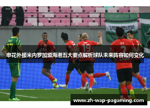 申花外援米内罗加盟海港五大要点解析球队未来阵容如何变化 申花外援米内罗加盟海港五大要点解析球队未来阵容如何变化