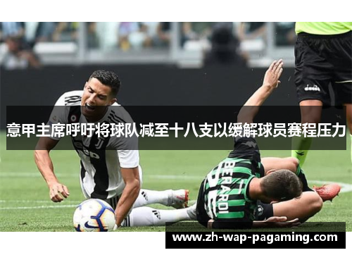意甲主席呼吁将球队减至十八支以缓解球员赛程压力