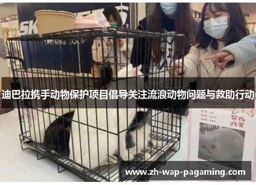 迪巴拉携手动物保护项目倡导关注流浪动物问题与救助行动