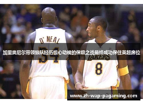 加里奥尼尔带领狼队经历惊心动魄的保级之战最终成功保住英超席位 加里奥尼尔带领狼队经历惊心动魄的保级之战最终成功保住英超席位
