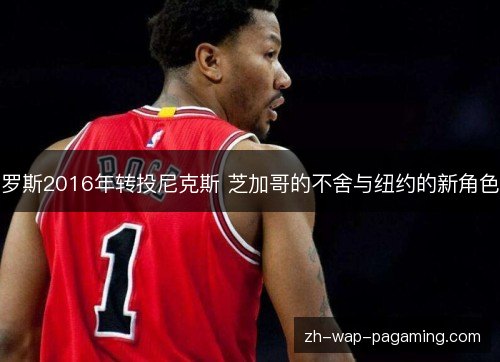 罗斯2016年转投尼克斯 芝加哥的不舍与纽约的新角色 罗斯2016年转投尼克斯 芝加哥的不舍与纽约的新角色
