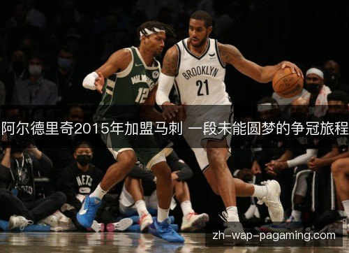 阿尔德里奇2015年加盟马刺 一段未能圆梦的争冠旅程 阿尔德里奇2015年加盟马刺 一段未能圆梦的争冠旅程
